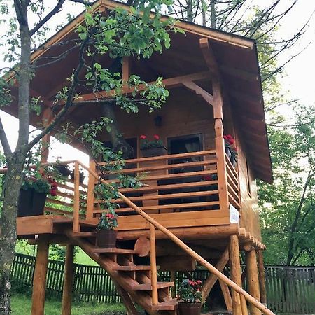 Domeniul Horj Casa Din Cires Moisei Villa Buitenkant foto