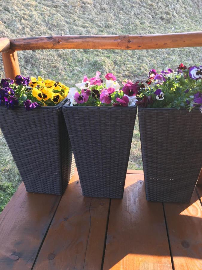 Domeniul Horj Casa Din Cires Moisei Villa Buitenkant foto