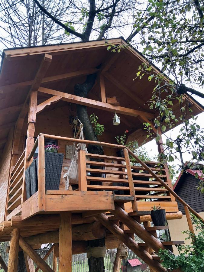 Domeniul Horj Casa Din Cires Moisei Villa Buitenkant foto