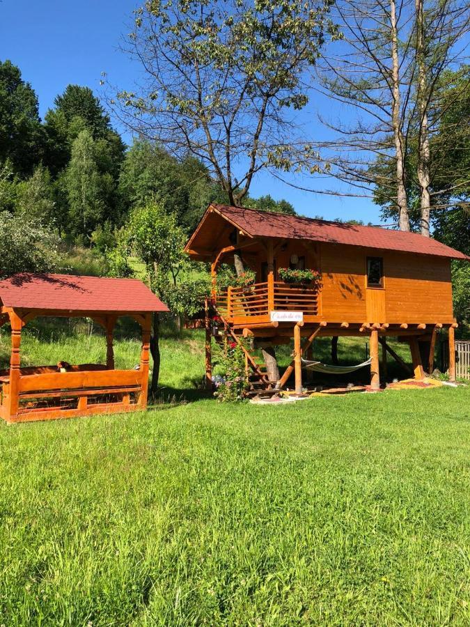 Domeniul Horj Casa Din Cires Moisei Villa Buitenkant foto
