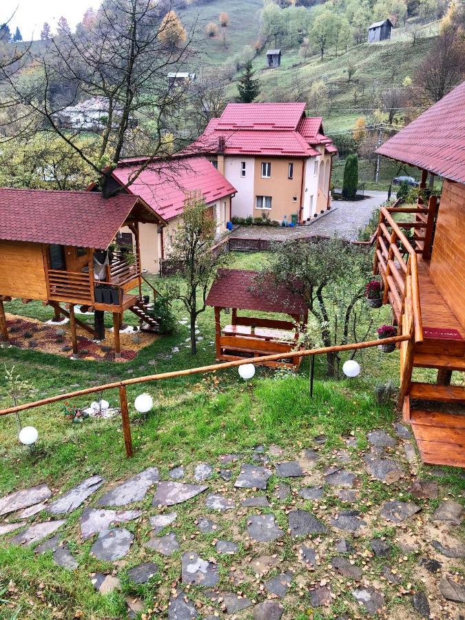 Domeniul Horj Casa Din Cires Moisei Villa Buitenkant foto
