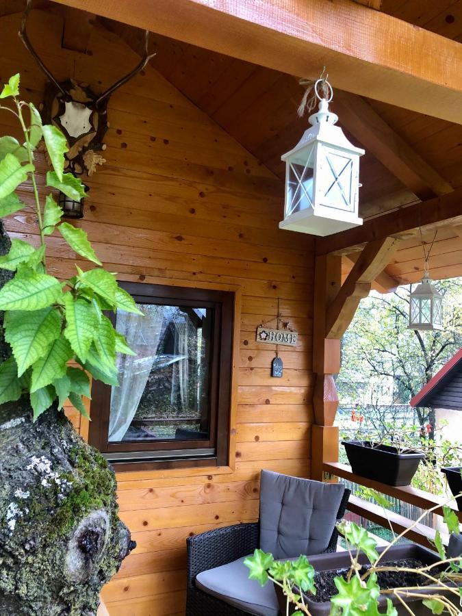 Domeniul Horj Casa Din Cires Moisei Villa Buitenkant foto