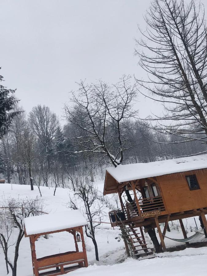 Domeniul Horj Casa Din Cires Moisei Villa Buitenkant foto