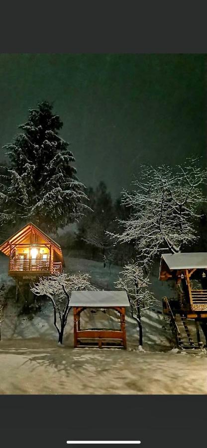 Domeniul Horj Casa Din Cires Moisei Villa Buitenkant foto