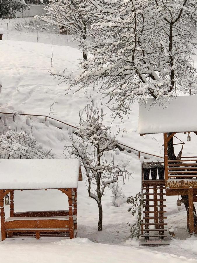 Domeniul Horj Casa Din Cires Moisei Villa Buitenkant foto