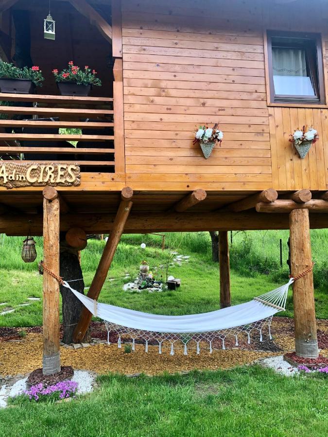 Domeniul Horj Casa Din Cires Moisei Villa Buitenkant foto