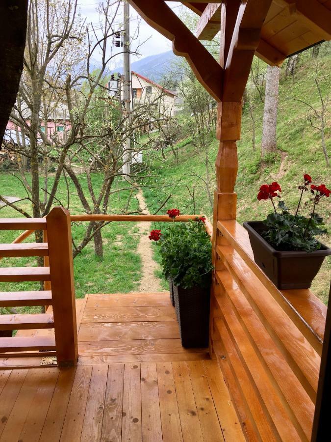 Domeniul Horj Casa Din Cires Moisei Villa Buitenkant foto