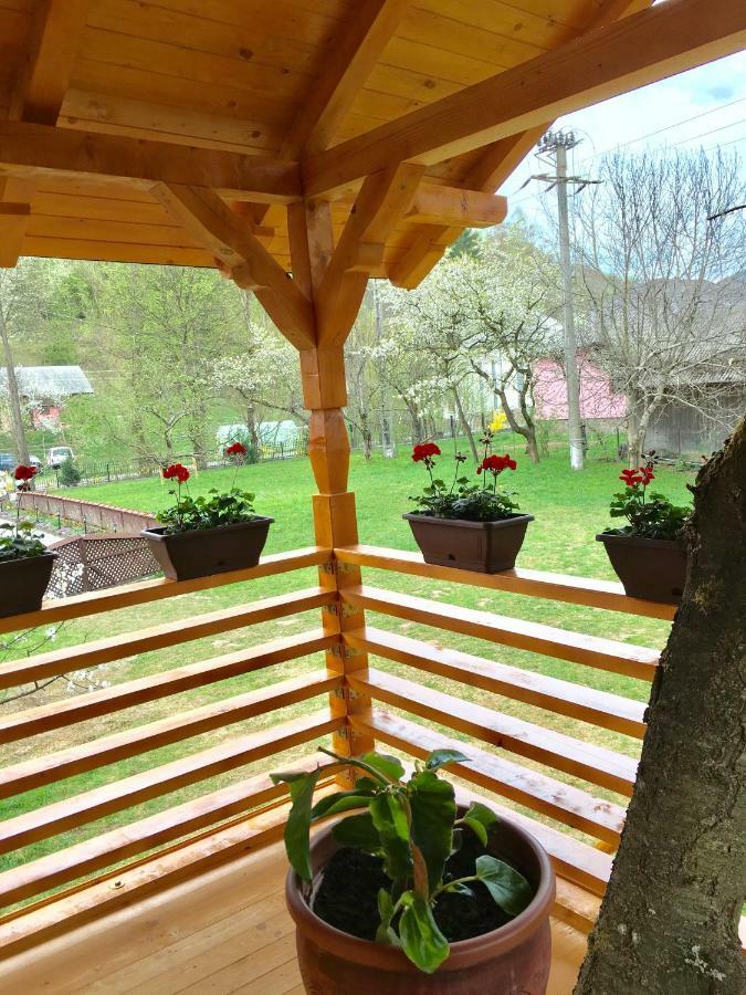 Domeniul Horj Casa Din Cires Moisei Villa Buitenkant foto