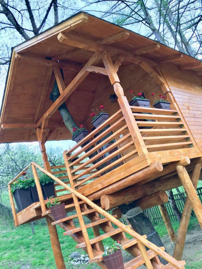 Domeniul Horj Casa Din Cires Moisei Villa Buitenkant foto