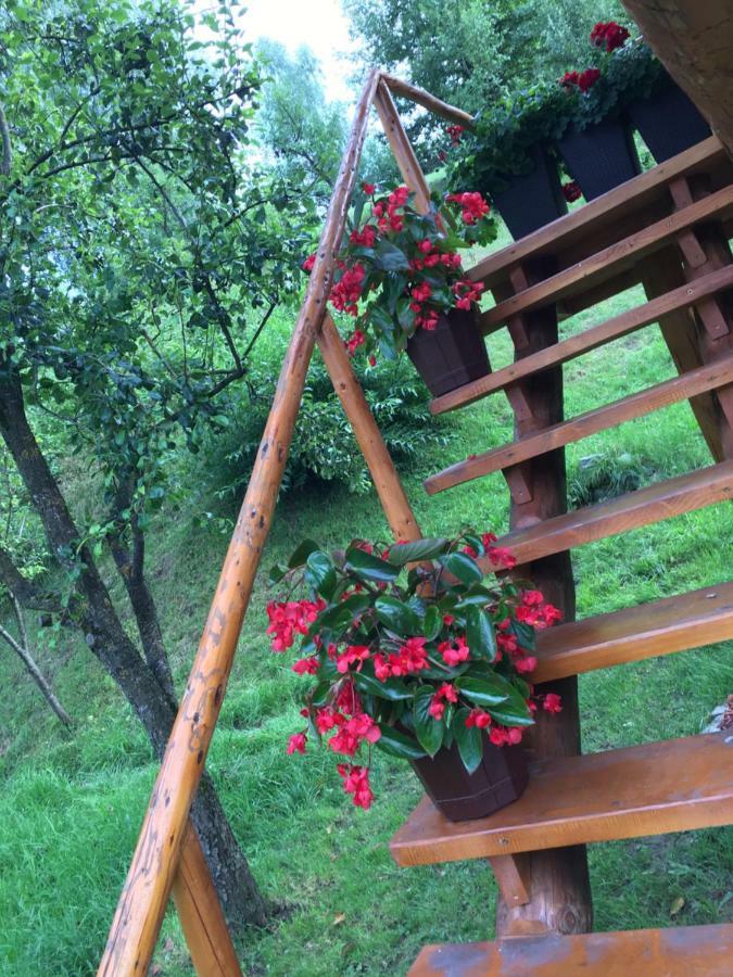 Domeniul Horj Casa Din Cires Moisei Villa Buitenkant foto